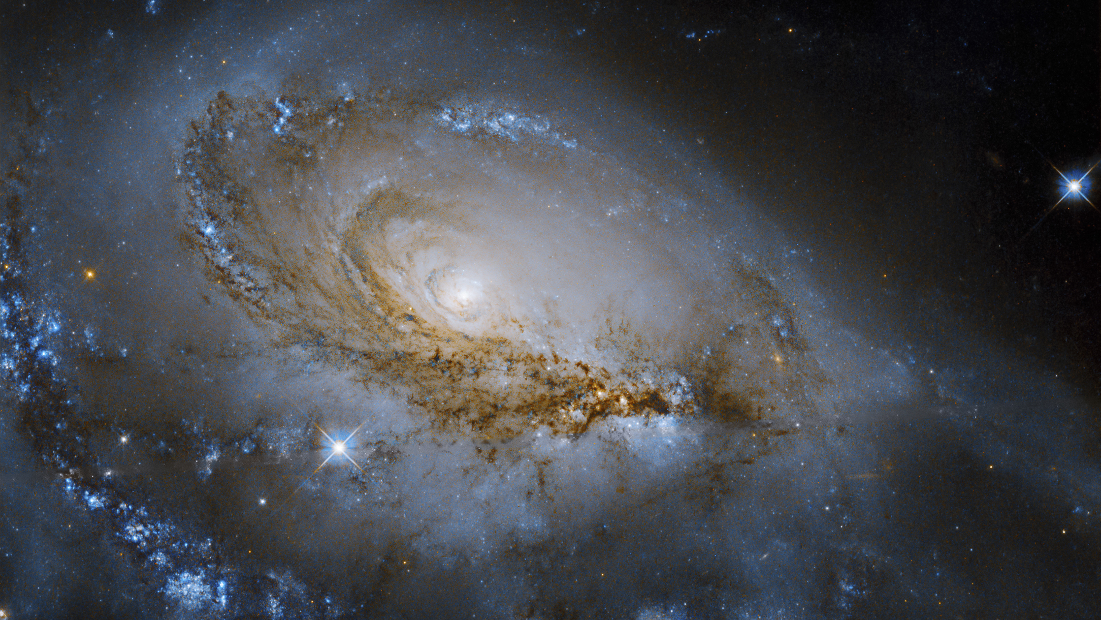 This spiral galaxy photo from the Hubble Space Telescope is just spectacular