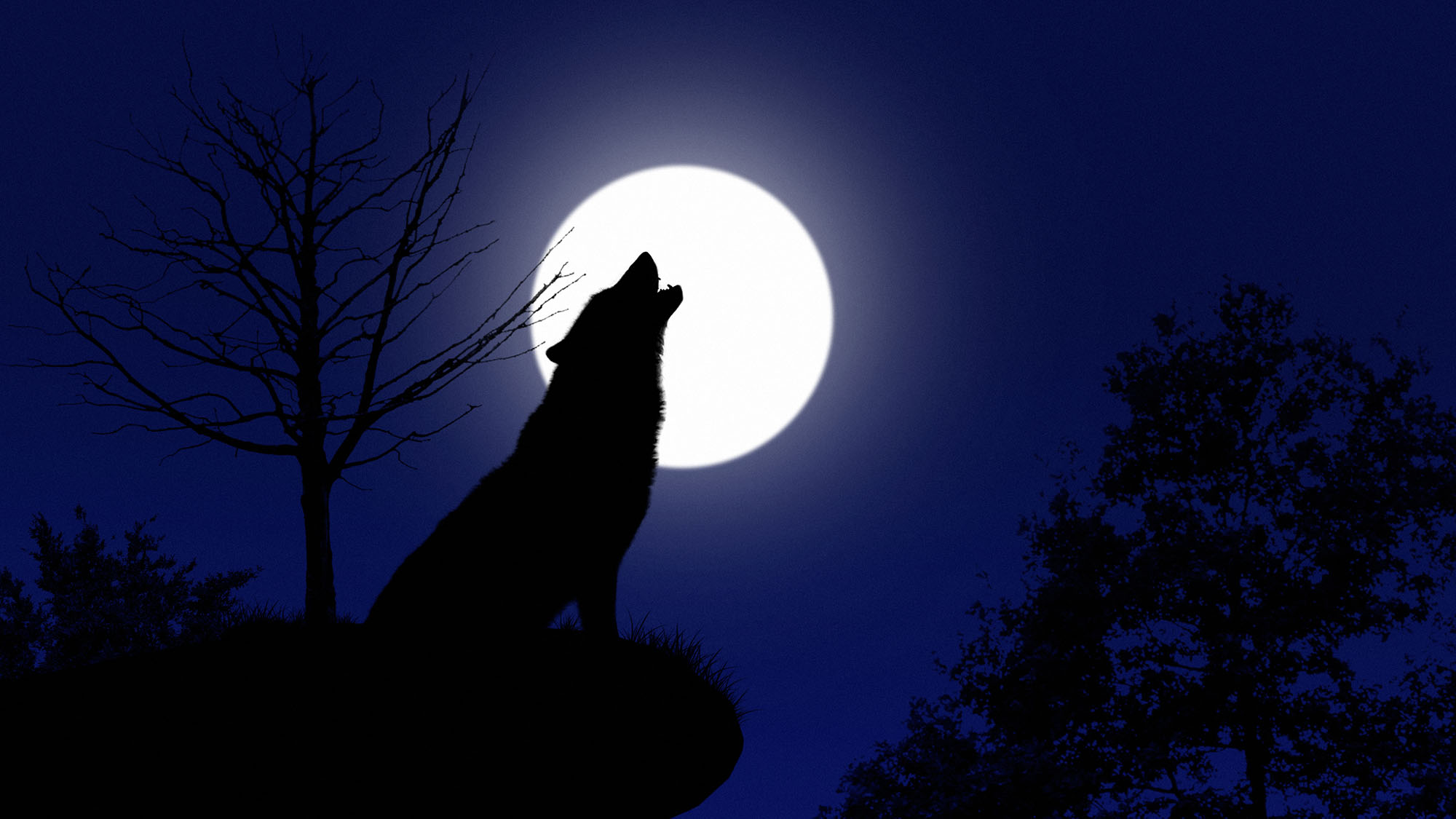 January full moon 2022: The 'Wolf Moon' rises with winter constellations thumbnail