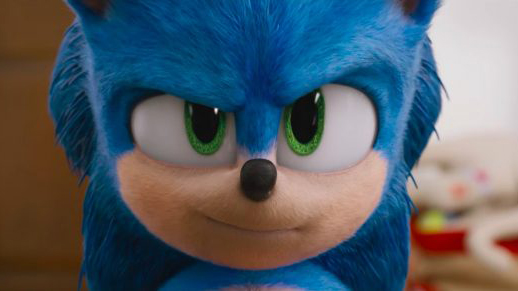 Sonic the hedgehog