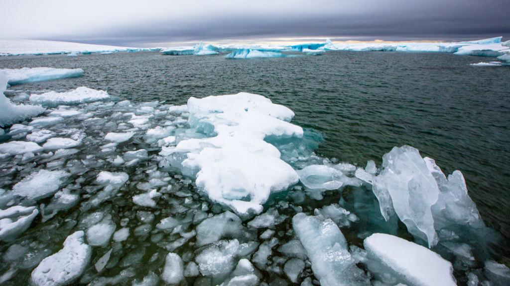 Chlamydia cousin discovered in deep Arctic Ocean