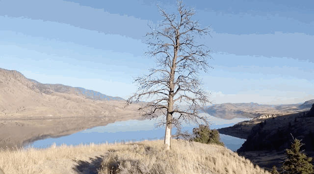 Skydio R1 is an autonomous drone that will film all your awesome adventures