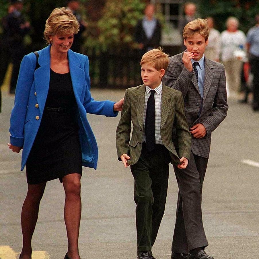 Princess Diana Produced Secret Tapes for the Future Brides of Prince William and Prince Harry | ygZ9MbNrkCyDhrCysaqSj
