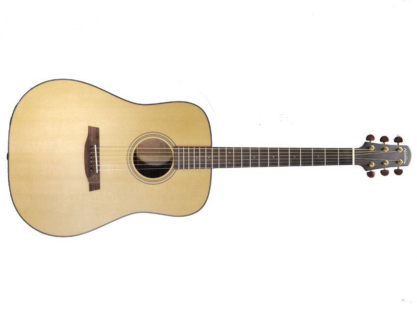 For a light dreadnought, the D2040 has a surprisingly large voice.