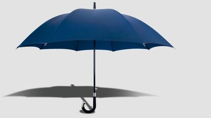 November: Davek Elite umbrella