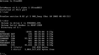 6. FreeDOS