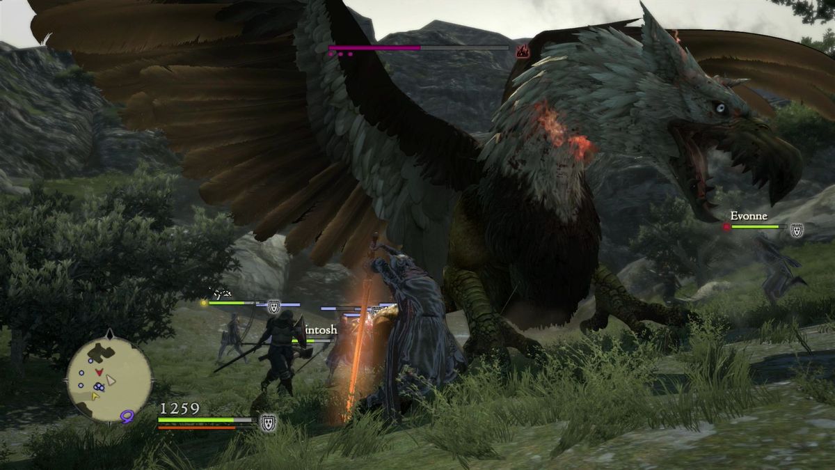 Dragon's dogma 1