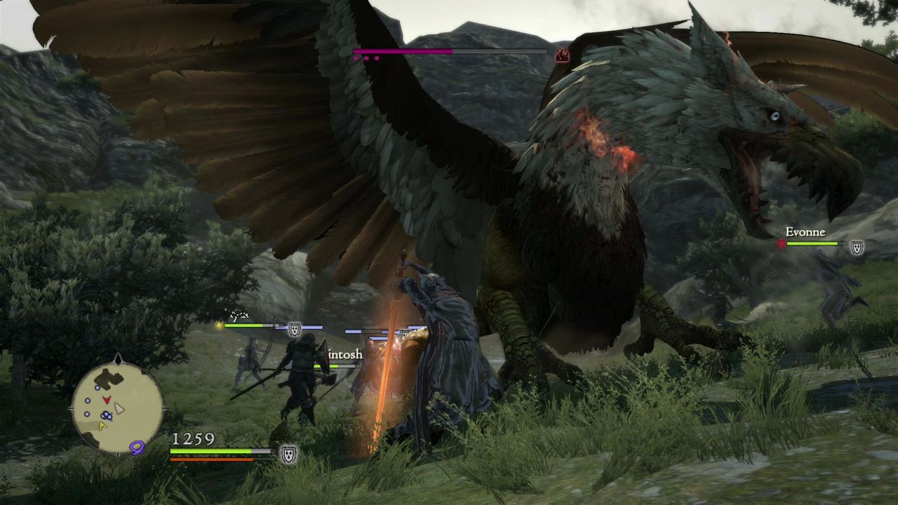 Dragon's dogma 1
