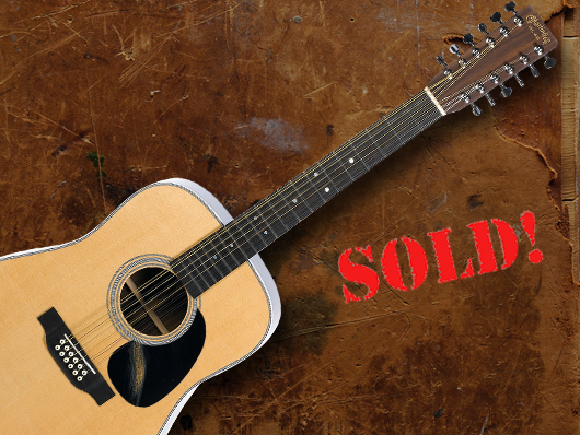 Martin D12-28 12-string