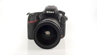 Canon EOS 5D Mark III vs Nikon D800
