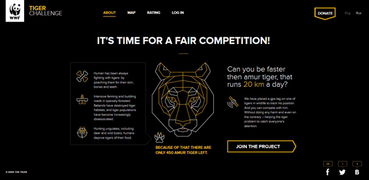 Tiger website homepage