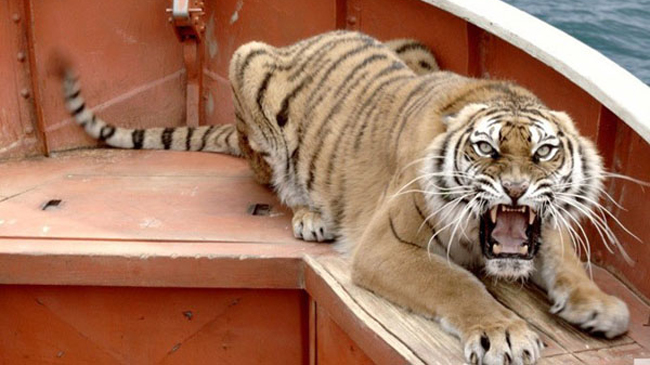 Richard Parker (The Life Of Pi)