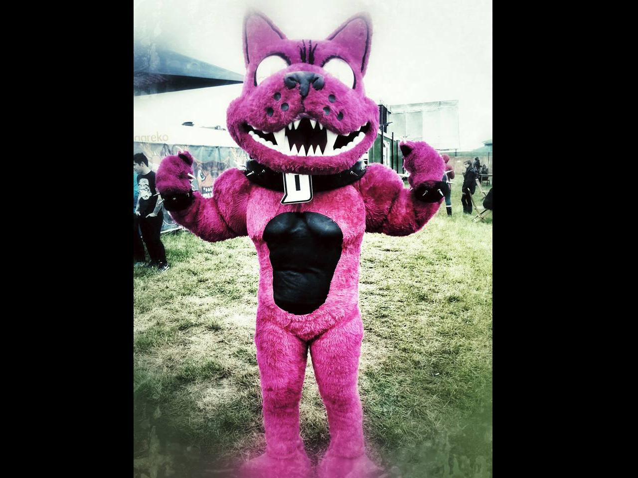 The Download Dog