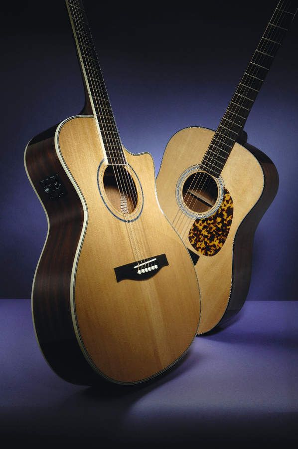 Stanford's MSGC100 (left) and PSRD10 (right) guitars.