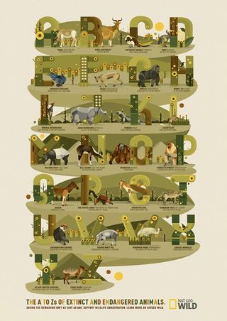 Kinetic - NatGeo: The A to Z of Endangered Animals