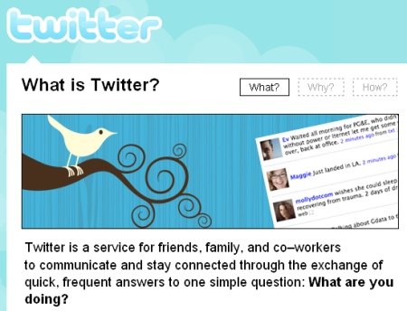 Tr.im links its failure to Twitter&#039;s choice of bit.ly as its URL shortening service