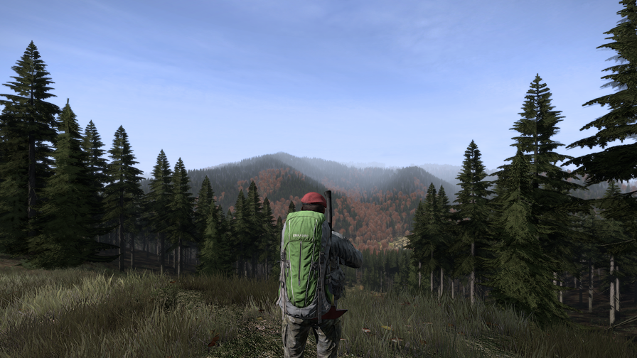 New DayZ renderer gets a test drive PC Gamer New DayZ renderer gets a test drive PC Gamer