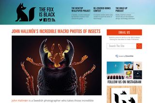 Open Sans is a superb free font. Here it has been put to excellent use in the body text and information blocks of the homepage of The Fox is Black (www.thefoxisblack.com). Open Sans is complemented here by headers set in Univers