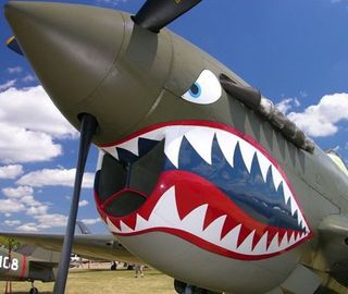 Nose art began as a means to identify friendly units