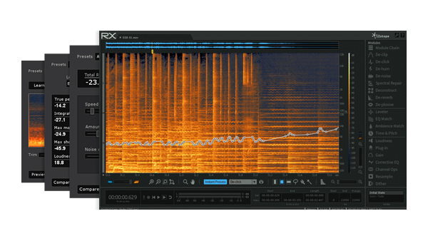 The RX 5 Audio Editor comes in two versions.