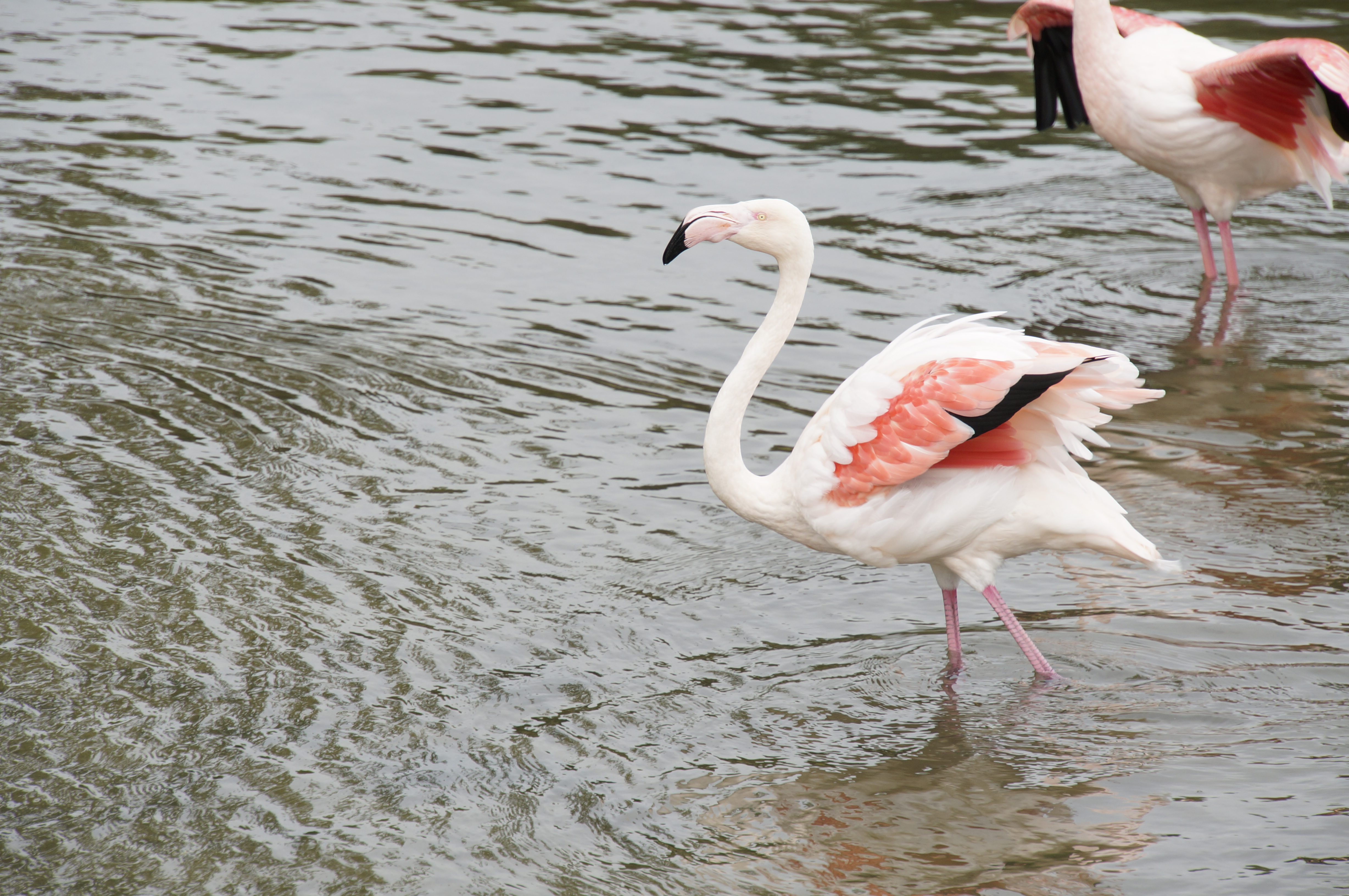 Sony NEX-5T review