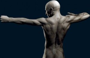 Image from the Scott Eaton's Anatomy for Digital Artists course. The archer is posed to illustrate the complexity of the back muscles under tension