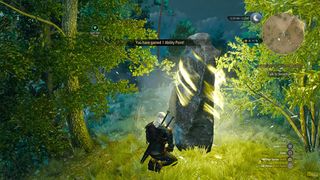 the witcher 3 wild hunt wild at heart