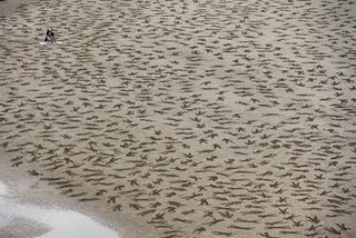 fallen soldiers sand art