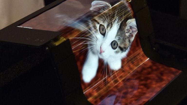 Semiconductor Energy Laboratory flexible screen