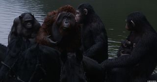 Preventing the CG apes from walking through each other was among the challenging tasks when dealing with multiple characters