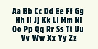 Amsi Pro font