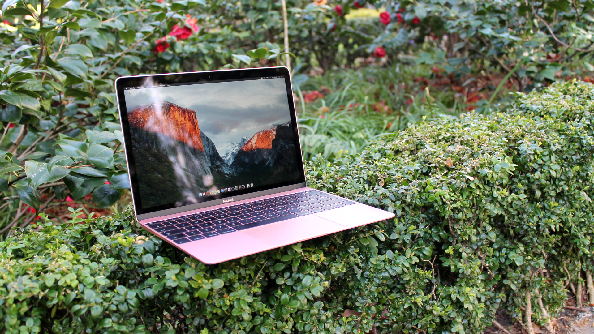 Apple 2016 MacBook review: More practical than you'd think, and stunning in  pink