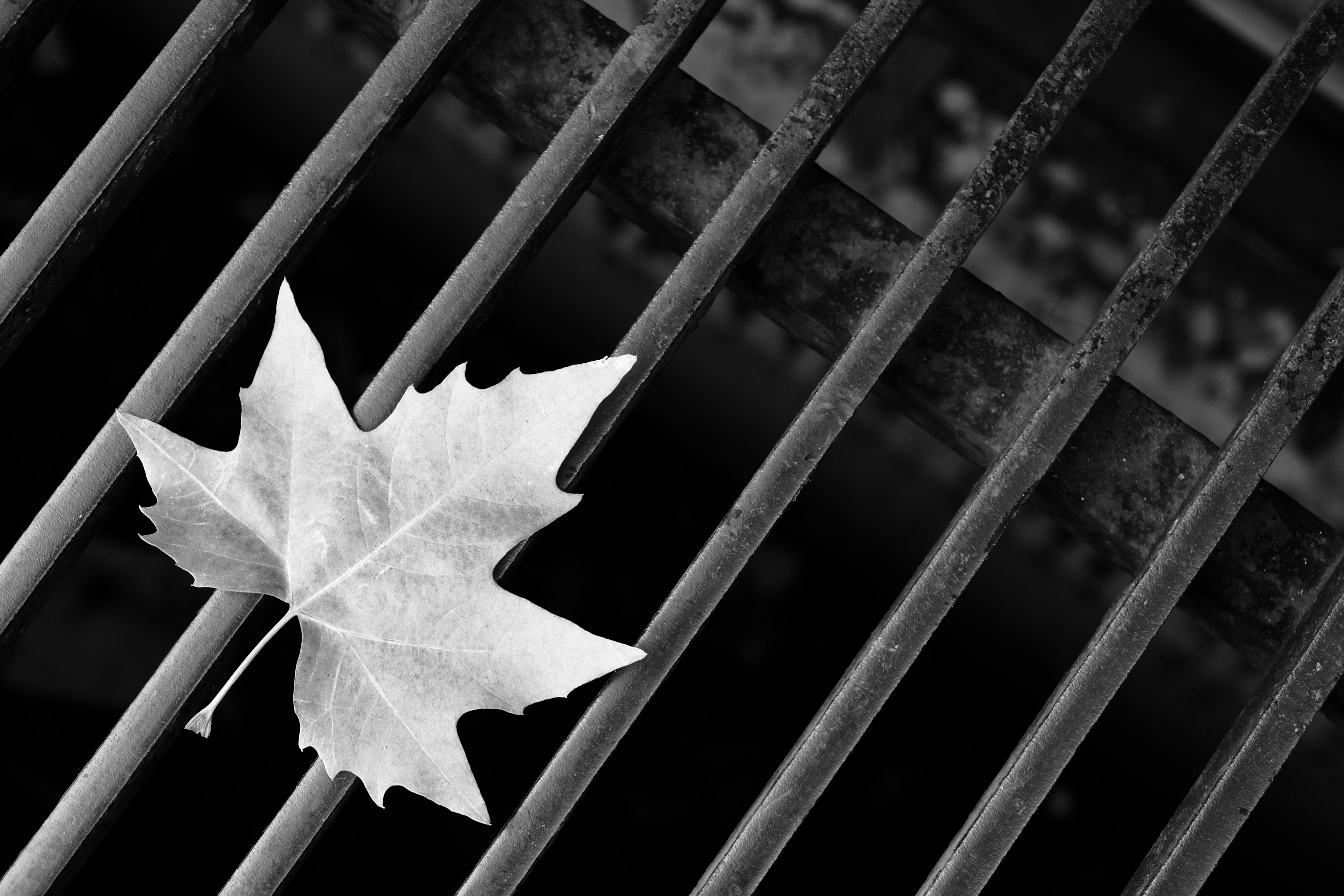 Fuji X-E2 review