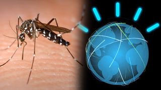 IBM and Watson are teaming up against the Zika virus