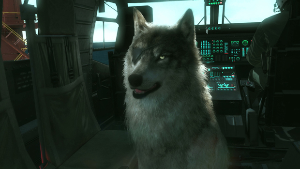 where is the puppy in phantom pain