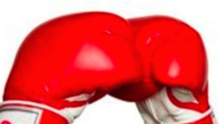 Boxing gloves