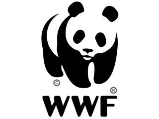 Logo shape: WWF