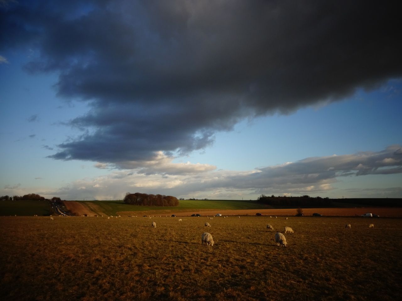 You can use digital filters to make an ordinary scene seem more dramatic, such as here, where the Toy Camera filter
