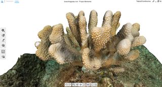 autodesk memento coral