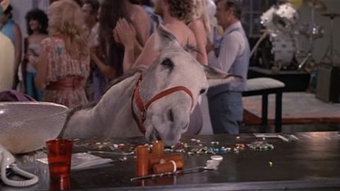 0defde311400acaafaf1ac9f9e38a891-480-80.