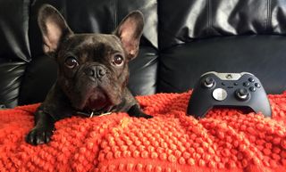 Dog and Xbox Elite Controller