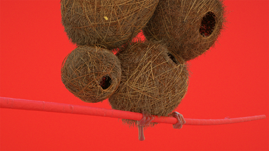 3D bird animation