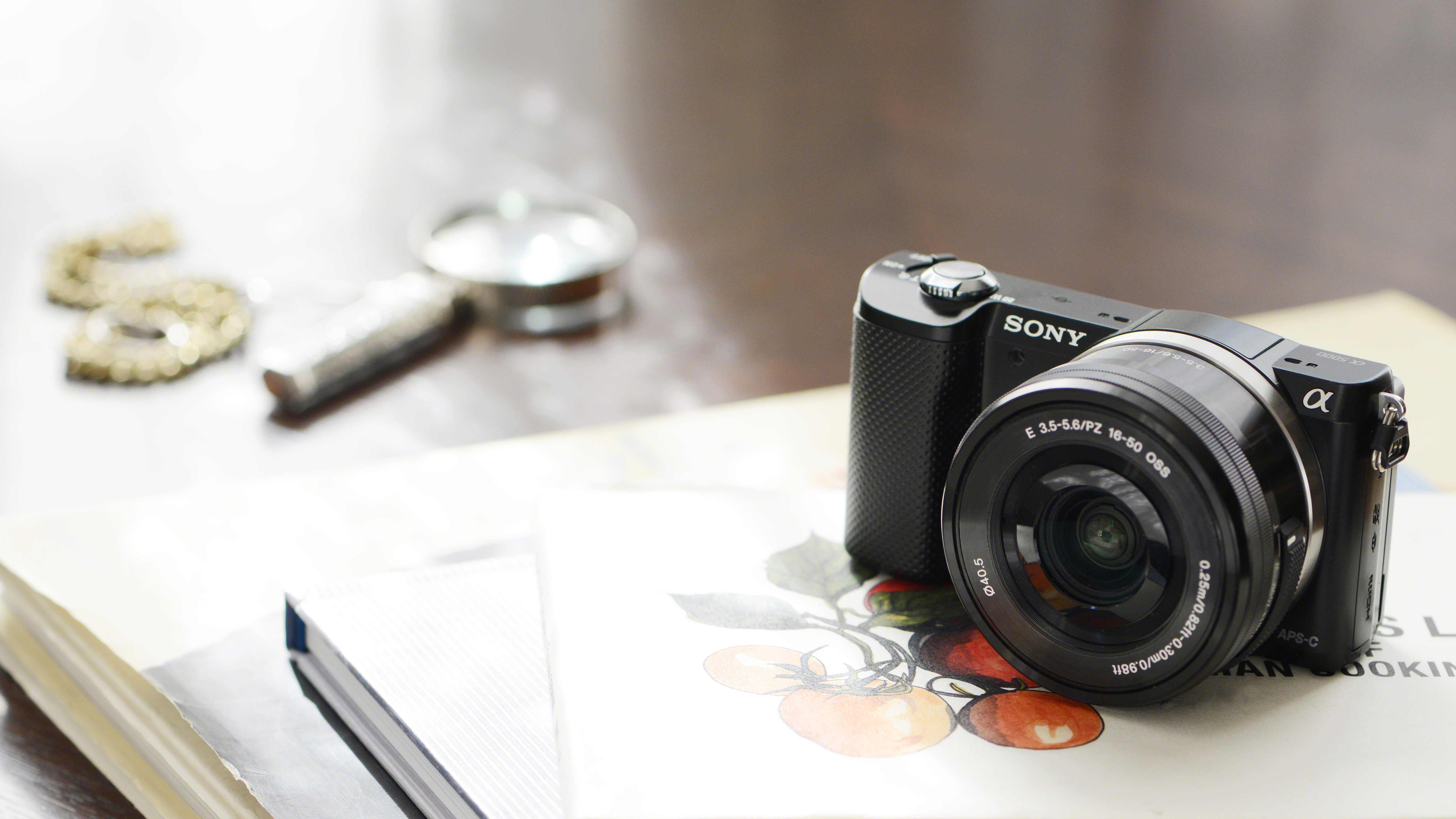 Sony Alpha 5000 Review