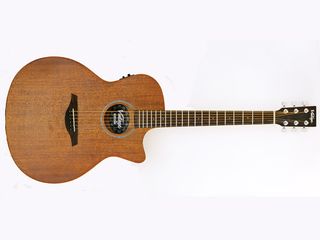 A guitar that certainly out-does its price tag.