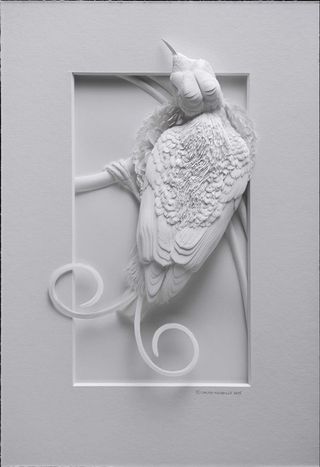 Calvin Nicholls Paper Art - birds eye view