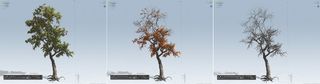 The new season system lets you produce intermediate trees between their summer and fall foliage, where the leaf textures are blended
