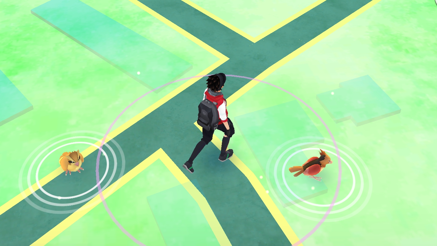 Taking Pokémon On A Walk