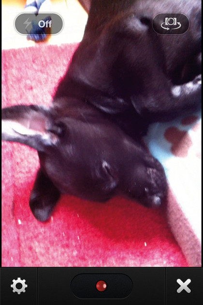 Viddy