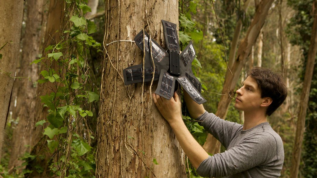 Your old smartphone could help save the Amazon rainforest