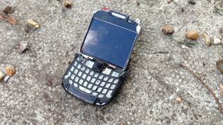 BlackBerry bust