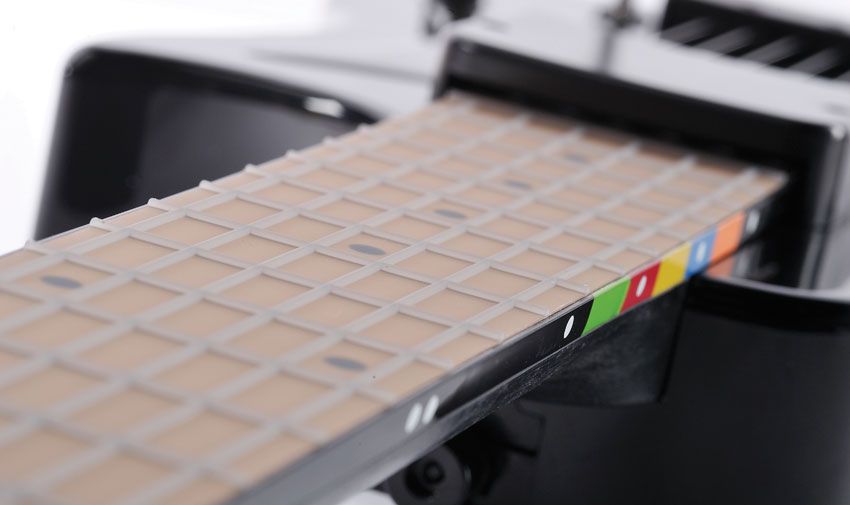 The frets are made of a rubbery substance, as are the 'strings', which are fixed to the fretboard - that's some low action!